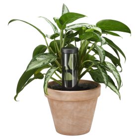   Fiskars Plant Care Automatikus öntözőtüske 3,5 dl-es víztartállyal