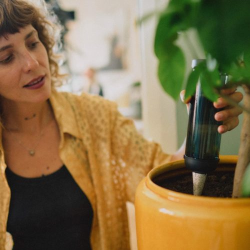 Fiskars Plant Care Automatikus öntözőtüske 3,5 dl-es víztartállyal