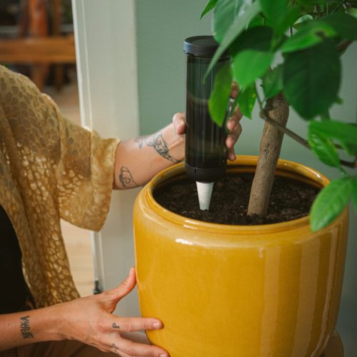 Fiskars Plant Care Automatikus öntözőtüske 3,5 dl-es víztartállyal