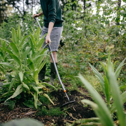 Fiskars Ergonomic™ kapa