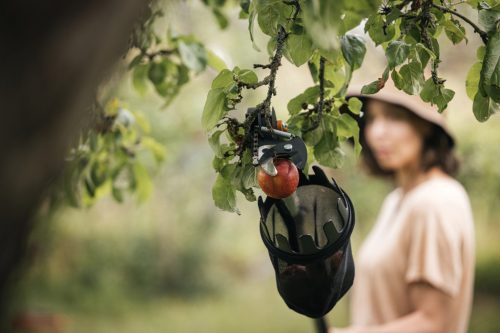 Fiskars Gyümölcsszedő (1001562)