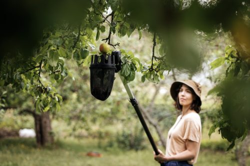 Fiskars Gyümölcsszedő (1001562)