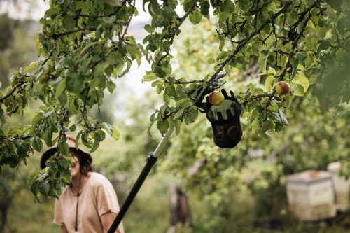 Fiskars Gyümölcsszedő (1001562)