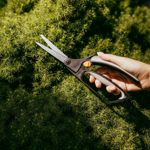 Fiskars Fűnyíró olló S50 (1000557)