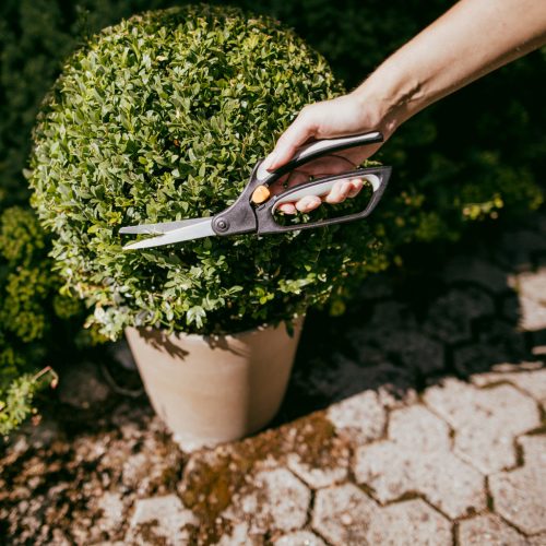 Fiskars Fűnyíró olló S50 (1000557)