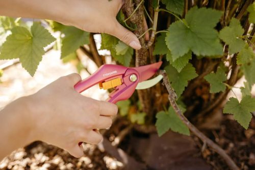 Fiskars Inspiration™ metszőolló, rubinvörös P26 (1003657)