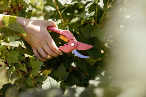 Fiskars Inspiration™ metszőolló, rubinvörös P26 (1003657)