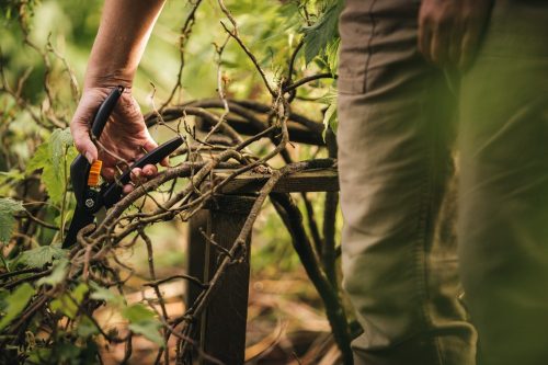 Fiskars Metszőolló, nyíró, P26 (1000567) 