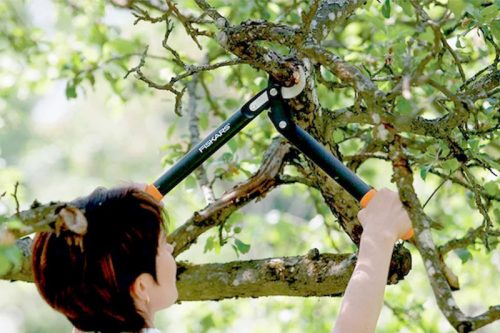 Fiskars PowerGear™ Ágvágó, kicsi, horgos, L70 (1002104)