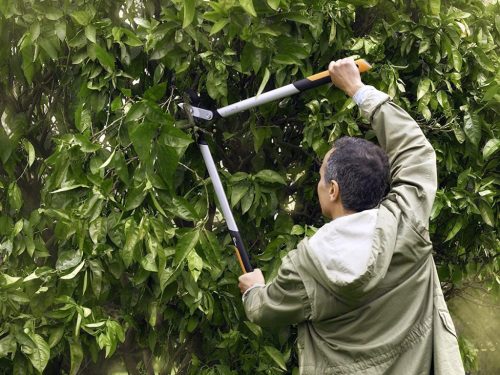 Fiskars PowerGear™ Fém fogaskerekes ágvágó LX92 (S) - 25 év garanciával (1020186)