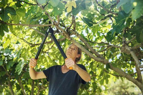 Fiskars PowerGear™ Ágvágó, közepes, horgos, L74 (1000582)