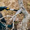 Fiskars PowerGear Fém fogaskerekes ágvágó LX94 (M)- 25 év garanciával (1020187)