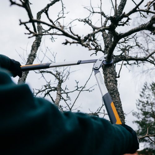 Fiskars PowerGear™ Fém fogaskerekes ágvágó LX94 (M) - 25 év garanciával