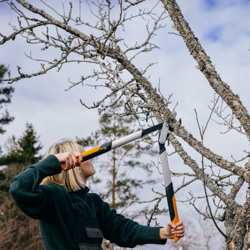 Fiskars PowerGear™ Fém fogaskerekes ágvágó LX94 (M) - 25 év garanciával