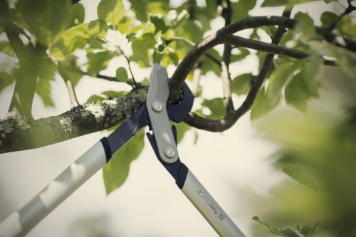 Fiskars PowerGear™ Fém fogaskerekes ágvágó LX94 (M) - 25 év garanciával