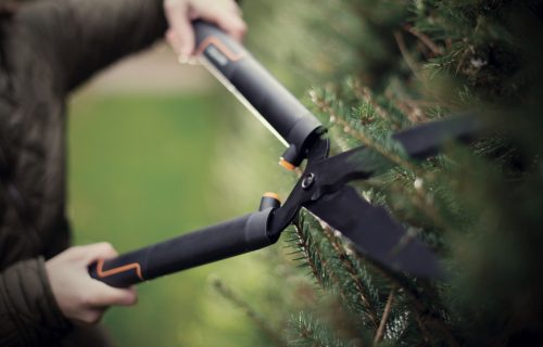 Fiskars SingleStep™ Sövénynyíró olló, HS22 (1001433)