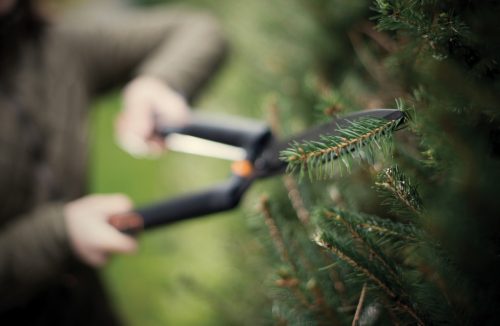 Fiskars SingleStep™ Sövénynyíró olló, HS22 (1001433)