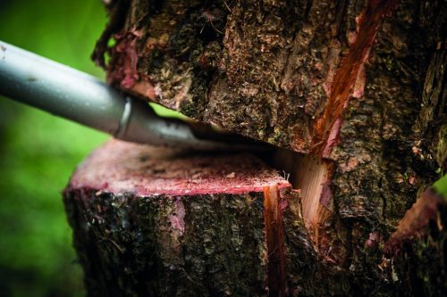 Fiskars WoodXpert™ ejtőemelő L (1015439)