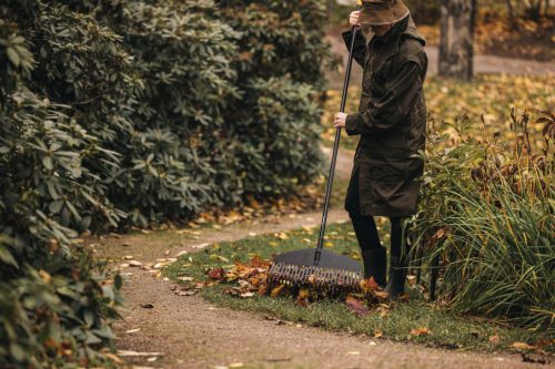 Fiskars Solid™ lombseprű fej, L (1014915)