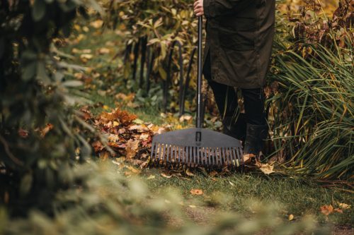 Fiskars Solid™ lombseprű nyéllel, L (1003465)