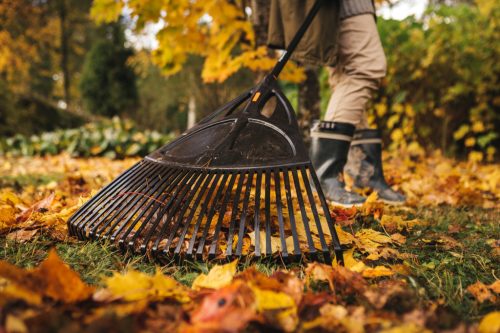 Fiskars Solid™ lombseprű XL (1015645)