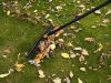 Fiskars Gyűjtőgereblye (57 cm), QuikFit (1000656)