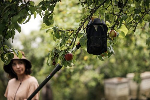 Fiskars QuikFit™ Gyümölcsszedő (1000693)