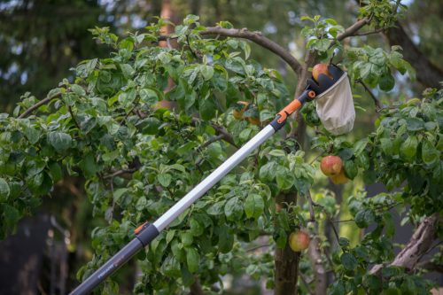 Fiskars QuikFit™ Gyümölcsszedő (1000693)