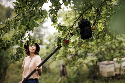 Fiskars QuikFit™ Gyümölcsszedő (1000693)