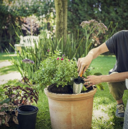 Fiskars Premium™ ültetőkanál (1000726)