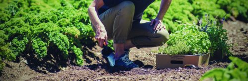 Fiskars Premium™ ültetőkanál (1000726)