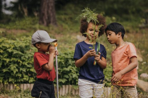 Fiskars MyFirst Fiskars lombseprű (1001419)