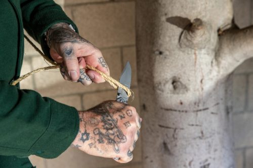 Gerber Paraframe II zsebkés, recés (1013971) - 25 év garanciával