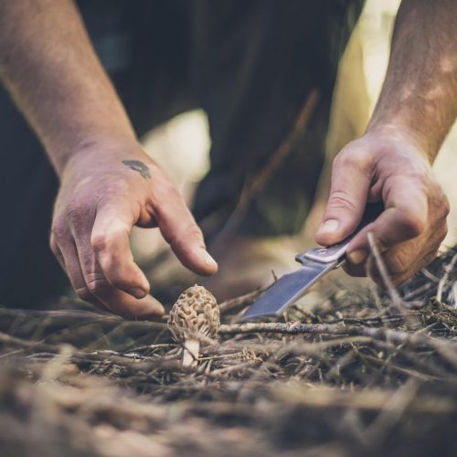 Gerber Asada bicska, Onyx FE, dobozban (1055364) - 25 év garanciával