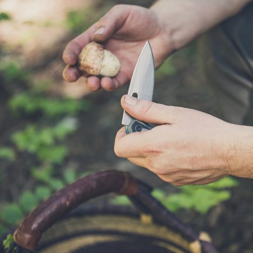 Gerber Sumo bicska, szürke-fekete FE, dobozban (1055366) - 25 év garanciával