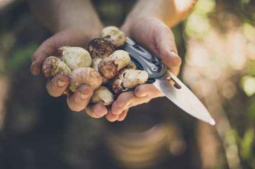 Gerber Sumo bicska, szürke-fekete FE, dobozban (1055366) - 25 év garanciával