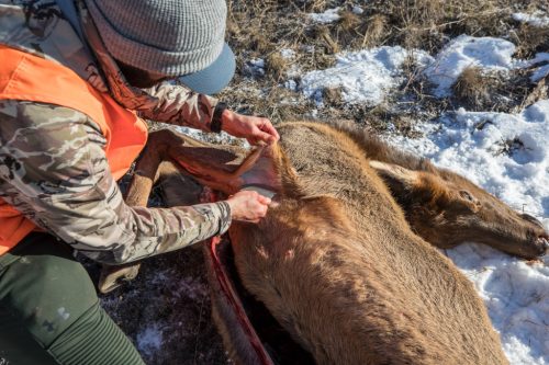 Gerber Downwind Ulu - Fekete (1059842) - 25 év garanciával