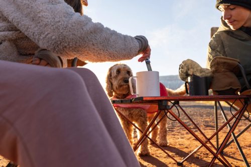 Gerber ComplEAT multifunkcionális villa, zsálya zöld (1028483) - 25 év garanciával