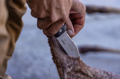 Gerber Gator 154CM zsebkés GB (1027859) - 25 év garanciával