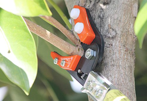 NISHIGAKI ágvágó NOBI 3m N-128 + ágfűrész