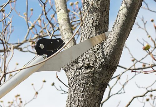 NISHIGAKI ágvágó NOBI 3m N-128 + ágfűrész