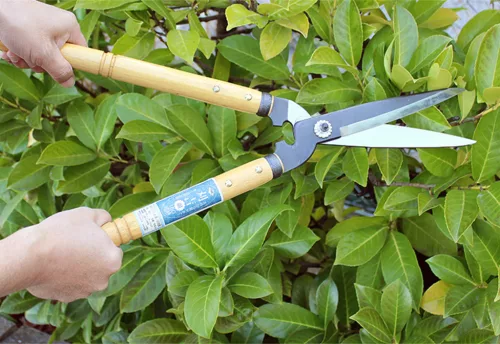 NISHIGAKI sövényvágó KARIKICHI rövid nyél 160mm N-370