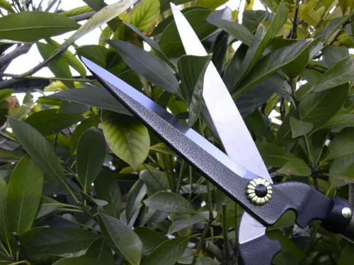 NISHIGAKI sövényvágó KARIKICHI rövid nyél 160mm N-370