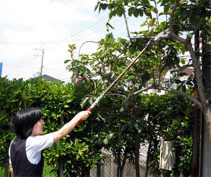 NISHIGAKI ágfűrész teleszkópos 1,1m  N-751