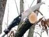 NISHIGAKI ágfűrész teleszkópos 1,1m  N-751