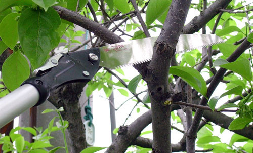 NISHIGAKI ágfűrész teleszkópos 1,1m  N-751