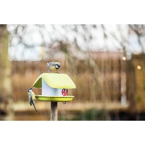 Plastia madáretető Domek zöld