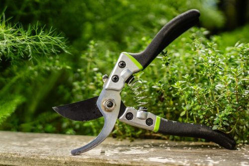 STALCO GARDEN Metszőolló STR 