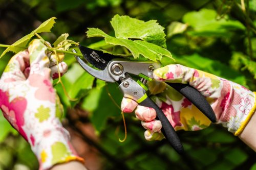 STALCO GARDEN Metszőolló STR 