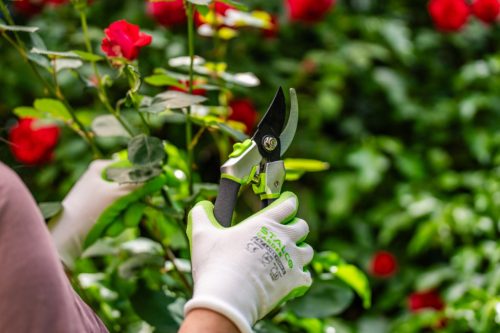 STALCO GARDEN Metszőolló STR 